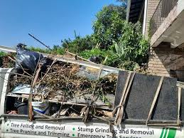 Best Carpet Removal and Disposal  in Chadron, NE